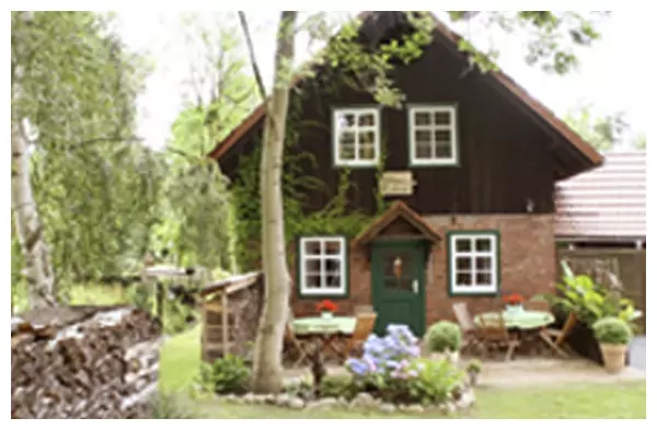 Hauskalmus1 Aussen