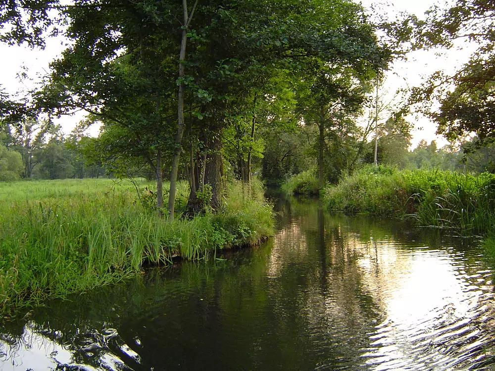 Kahnfahrt im spreewald 03