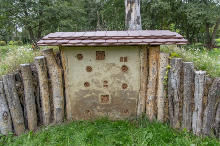 Bienenbaumelbank und burg im park