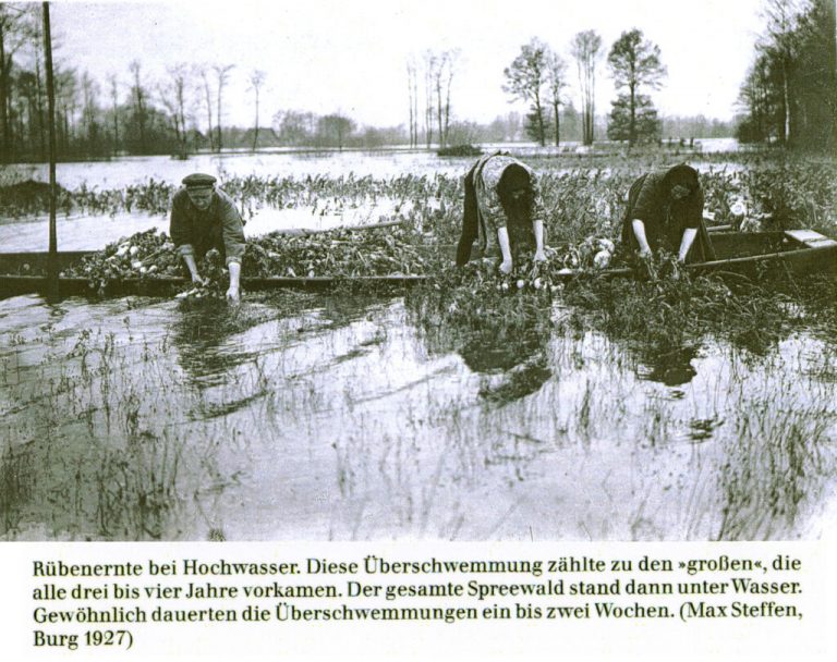 Von der (Trink )Wassernot der Spreewälder