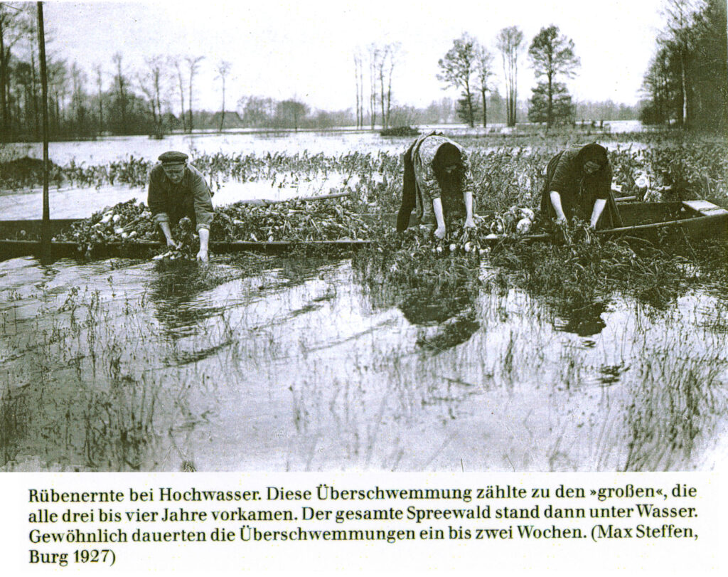 Von der (Trink )Wassernot der Spreewälder