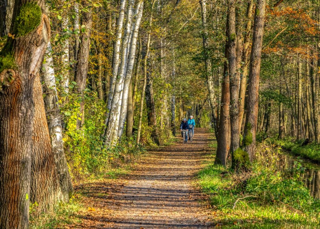 Als Leipe vor 90 Jahren seine Insellage verlor