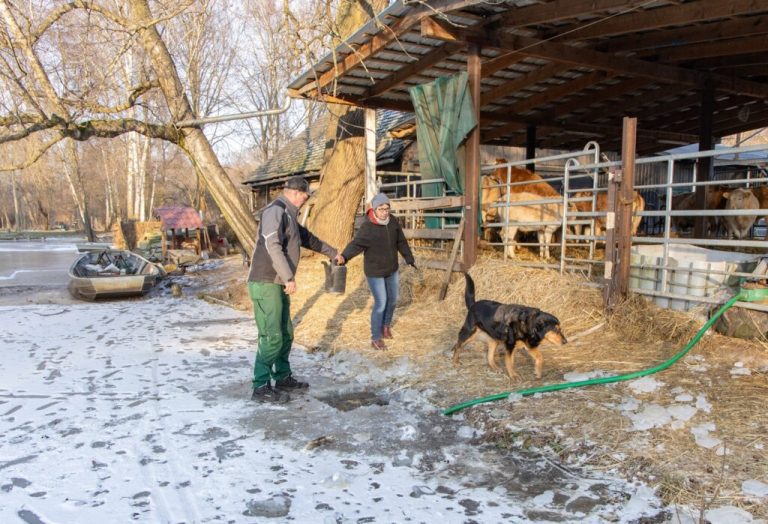 Ein ganz normaler Wintertag in Lehde …