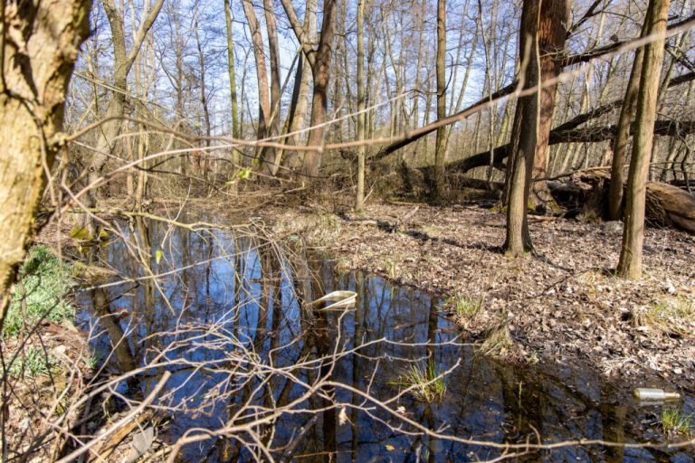 Frühjahrsputz im Spreewald