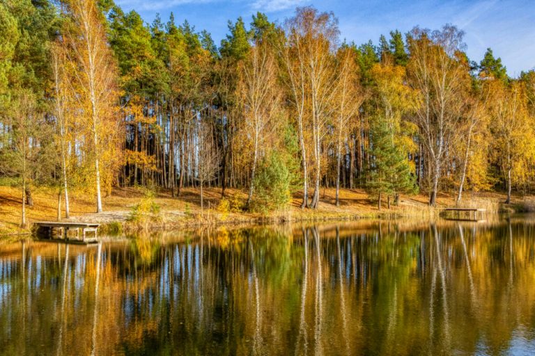 Byhleguhrer Dorfchronik erschienen
