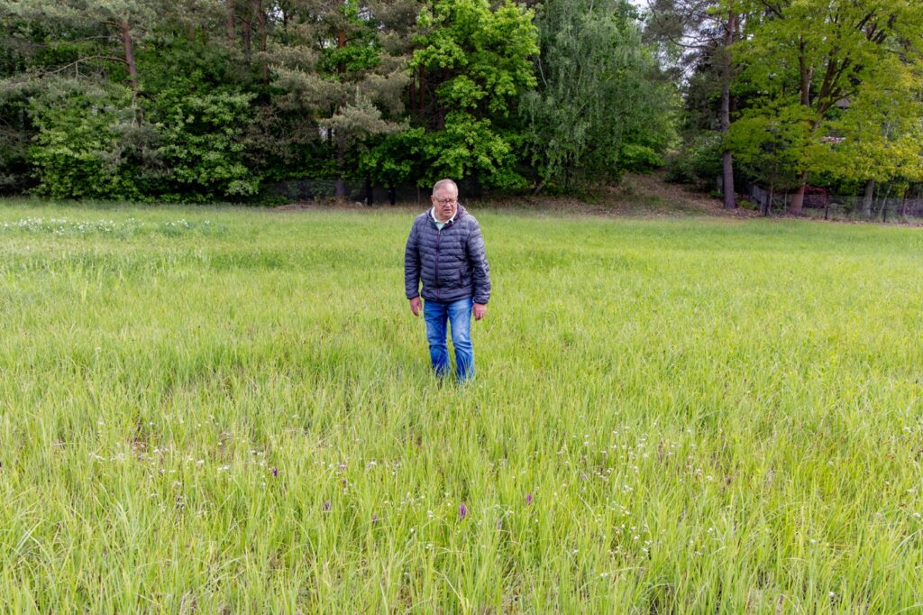 Seltene Orchideen im Spreewald